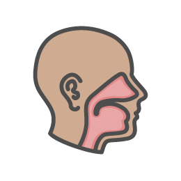 The Scope of Facial Plastic Surgery & Aesthetic Medicine Encompassing Rhinoplasty, Aesthetics, Facial Paralysis Surgery, Facial Reconstruction, and Pediatric/Craniofacial Surgery: Achievements, Opportunities, and Gratitude