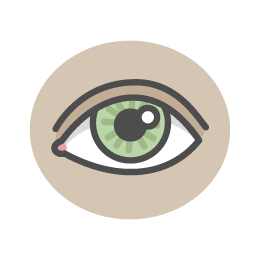 Significant Improvement in Retinal Capillary Hemangioblastoma with Belzutifan