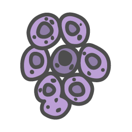 Philip a. Minotti, MD, an Orthopaedic Surgeon with Connecticut Orthopaedics